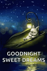 Good Night Sweet Dreams Sleeping Bunny GIF