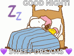 Good Night Sweet Dreams Sleeping Snoopy