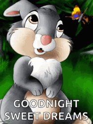 Good Night Sweet Dreams Stunned Bunny