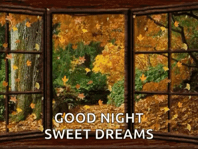 Good Night Sweet Dreams Window GIF