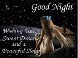 Good Night Sweet Dreams Wishing Star