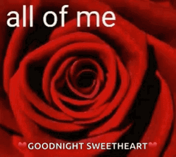 Good Night Sweetheart All Of Me GIF