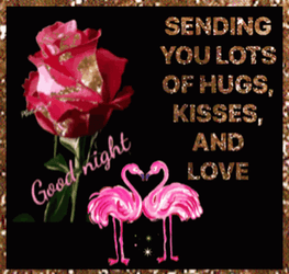 Good Night Sweetheart Flamingo GIF