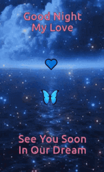 Good Night Sweetheart See You In Our Dream GIF