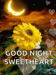 Good Night Sweetheart Sunflower Bubble Hearts GIF