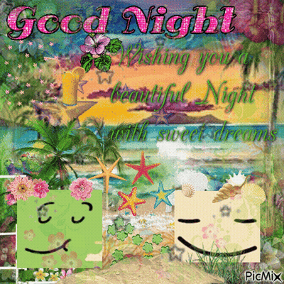 Good Night Wishing You Sweet Dreams Beach GIF