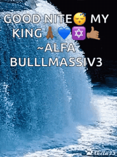 Good Nite My King Alfa Bullmassiv3 Poster GIF