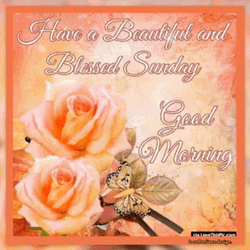 Good Sunday Morning Beautiful Roses GIF
