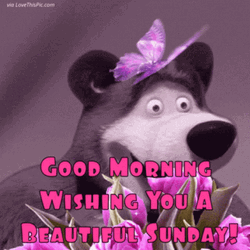 Good Sunday Morning Cute Bear GIF