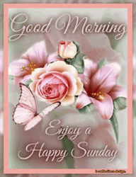 Good Sunday Morning Pink Flowers GIF