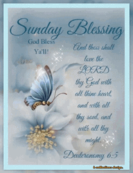 Good Sunday Morning Sparkling Butterfly GIF