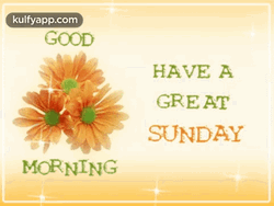 Good Sunday Morning Sparkling Daisies GIF