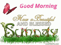 Good Sunday Morning Vines Design GIF