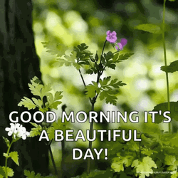 Good Sunny Saturday Morning It's Beautiful Day GIF