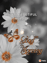 Good Thursday Morning Flower Butterfly GIF