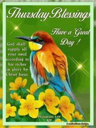 Good Thursday Morning Have A Great Day GIF