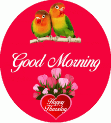 Good Thursday Morning Love Birds GIF