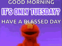 Good Tuesday Morning Have A Blessed Day Elmo GIF