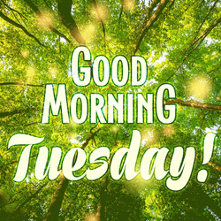 Good Tuesday Morning Magical Forest Animation GIF