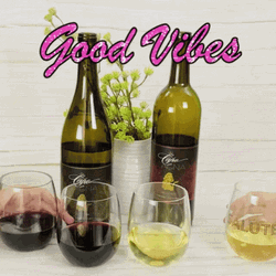 Good Vibes Drinking Wine Cheers GIF
