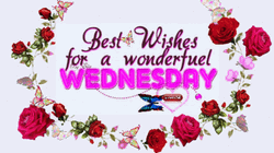 Good Wednesday Morning Colorful Butterflies GIF