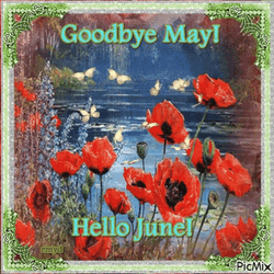 Goodbye May Hello June GIF