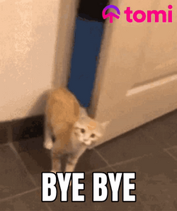 Goodbye Meme Orange Cat Close The Door GIF