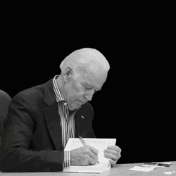 Goodbye Trump Travel Ban GIF