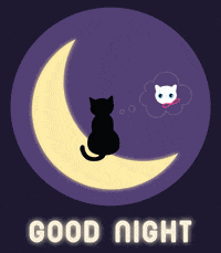 Goodnight Beautiful Cat In Crescent Moon GIF