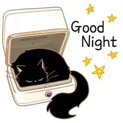 Goodnight Cat On Suitcase GIF
