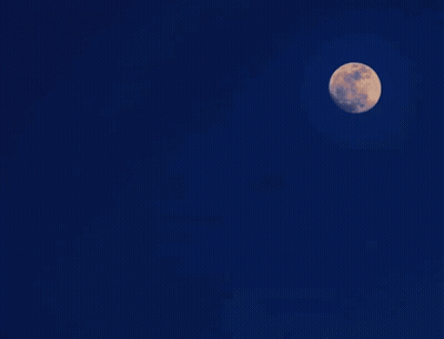 Goodnight Hooligans Poster GIF