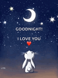 Goodnight I Love You Bunny & Moon GIF