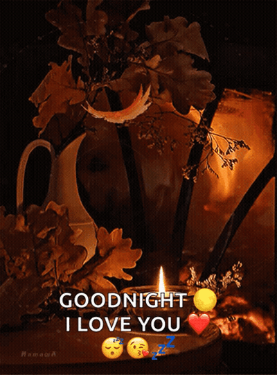Goodnight I Love You Candle Leaves GIF