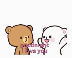 Goodnight I Love You Milk & Mocha GIF