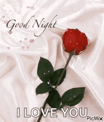 Goodnight I Love You Rose In Bed GIF