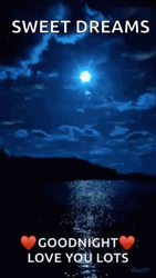Goodnight I Love You Sea View GIF