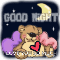 Goodnight I Love You So Much Bear GIF