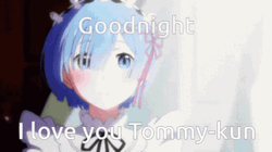 Goodnight I Love You Tommy Kun GIF