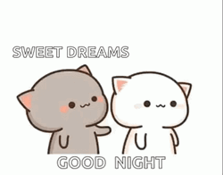 Goodnight Kiss Hey Sweet Dreams Peach Goma Cat GIF