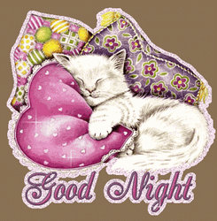 Goodnight Love Kitty Cozy Night GIF
