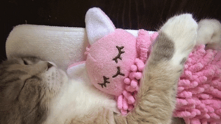 Cuddles GIFs