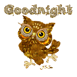Goodnight Nught Owl Sticker GIF