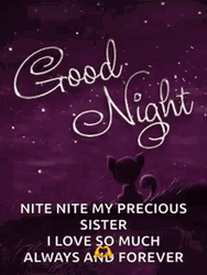 Goodnight Sis I Love You GIF