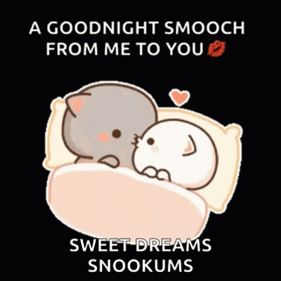 Goodnight Smooch Sweet Dreams Snookums Sticker GIF