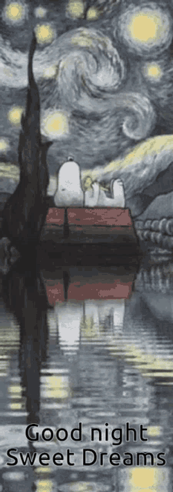 Goodnight Snoopy Starynight GIF