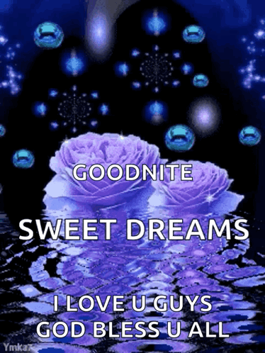 Goodnight Sweet Dreams I Love You Guys God Bless GIF
