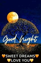 Goodnight Sweet Dreams Love You GIF