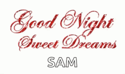 Goodnight Sweet Dreams My Love Sam GIF