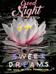 Goodnight Sweet Dreams My Love Water Lily Flower GIF