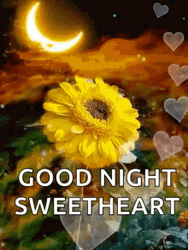 Goodnight Sweetheart Moon Sunflower GIF